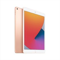 WWRU_iPad_Gold_Wi-fi_PDP-image_2