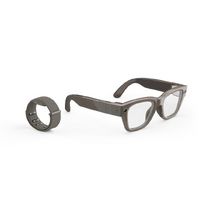 Meta Ray-Ban Display Standard + Meta Shiny Sand L (серый)