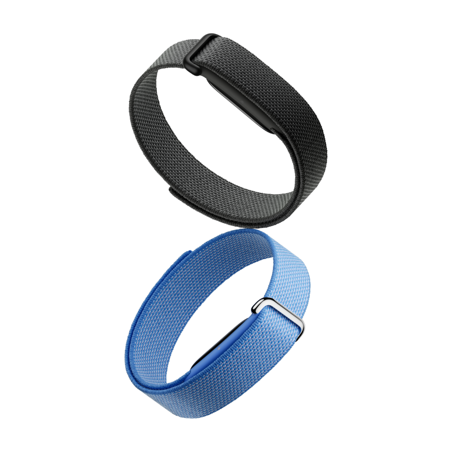 Google Fitbit Air